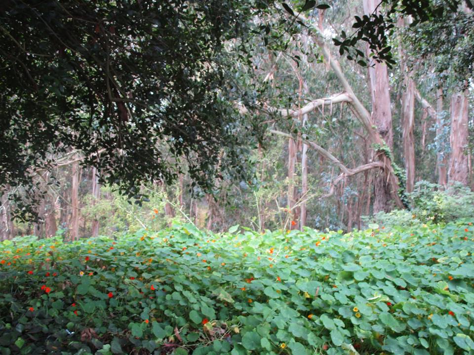 38122897_10216640533832084_2698919391101190144_n