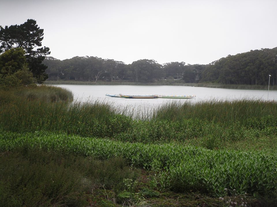 38133390_10216640547432424_6474577569957019648_n