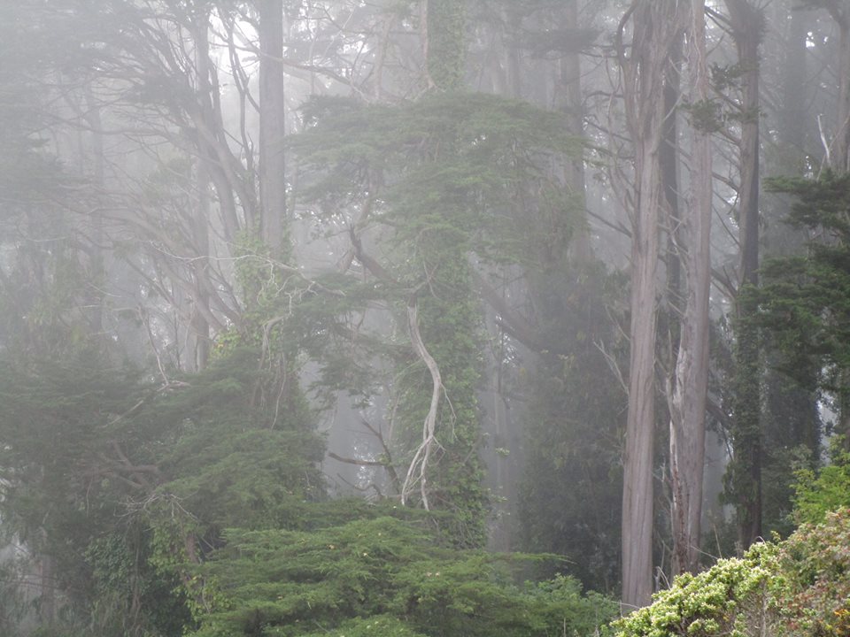 38178443_10216640542312296_4284458653487988736_n