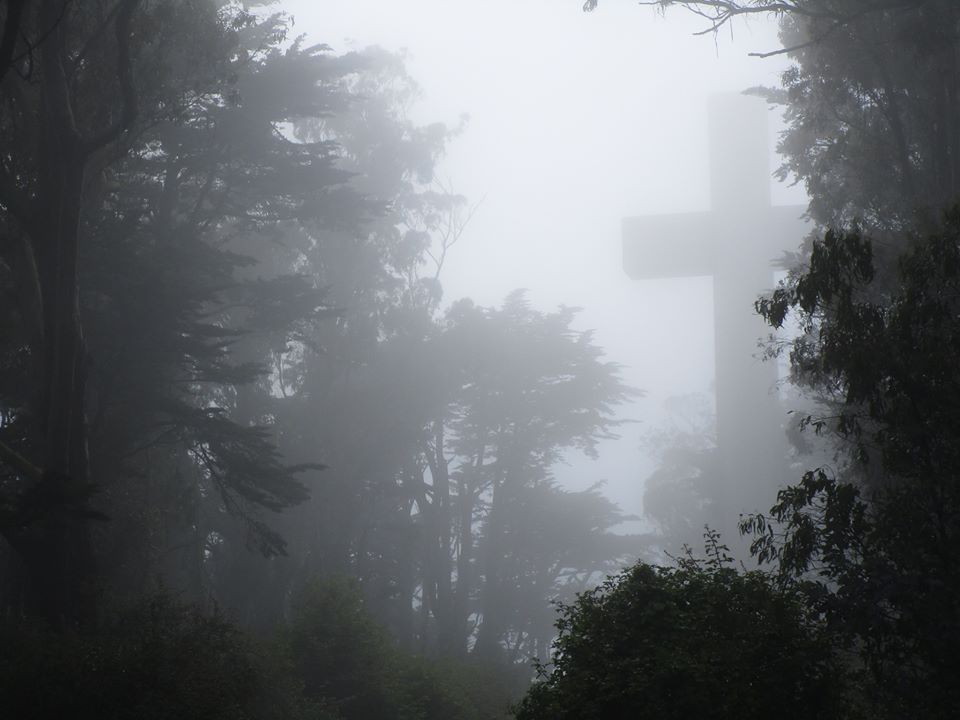 38289291_10216640542632304_4077713483502714880_n