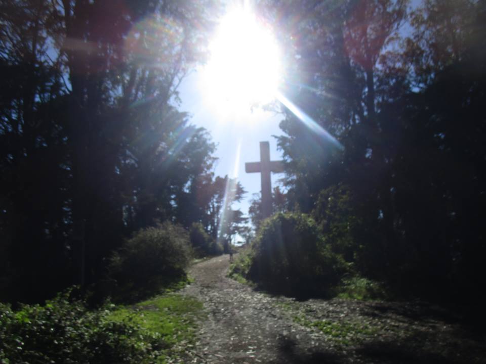 38438030_10216671988058420_1509670091032100864_n