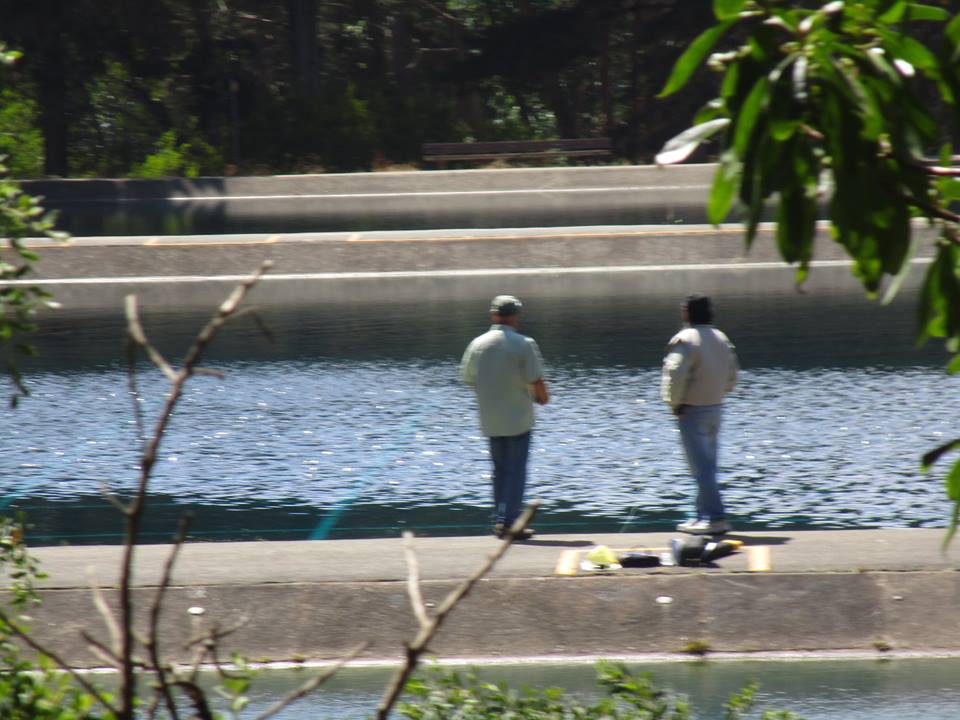 38457998_10216671995898616_2529748854174121984_n