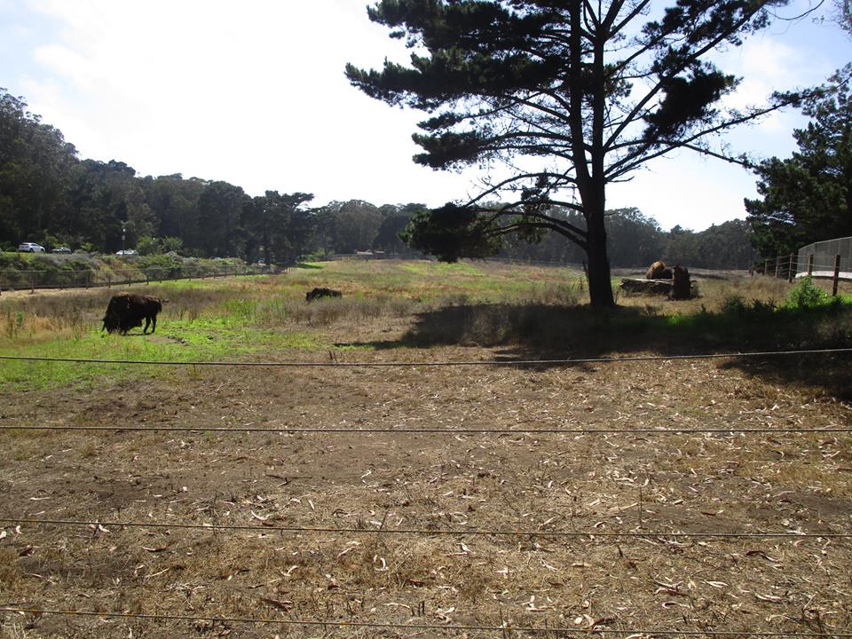 38671013_10216672001298751_7489053616980885504_n