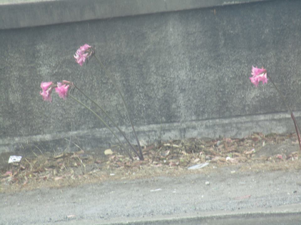 38681677_10216672005978868_7069987348603207680_n