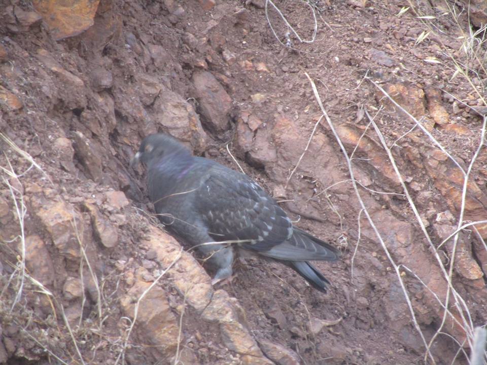 38729537_10216702334617065_7260423170555904_n