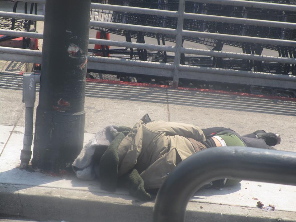 38745596_10216702319976699_7863817396484571136_n