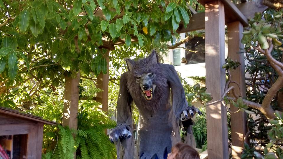 39154872_10216769622379217_5665127082502389760_n