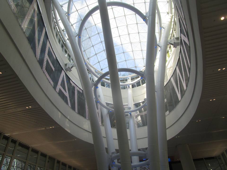 39253351_10216769581938206_3223706678901866496_n