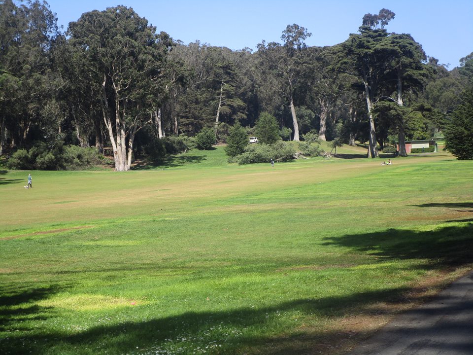 39253374_10216769574098010_3786380319897157632_n