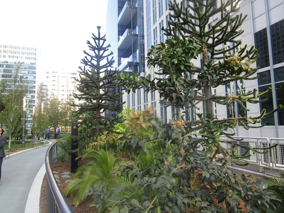 39253478_10216769593378492_2604628125761404928_n