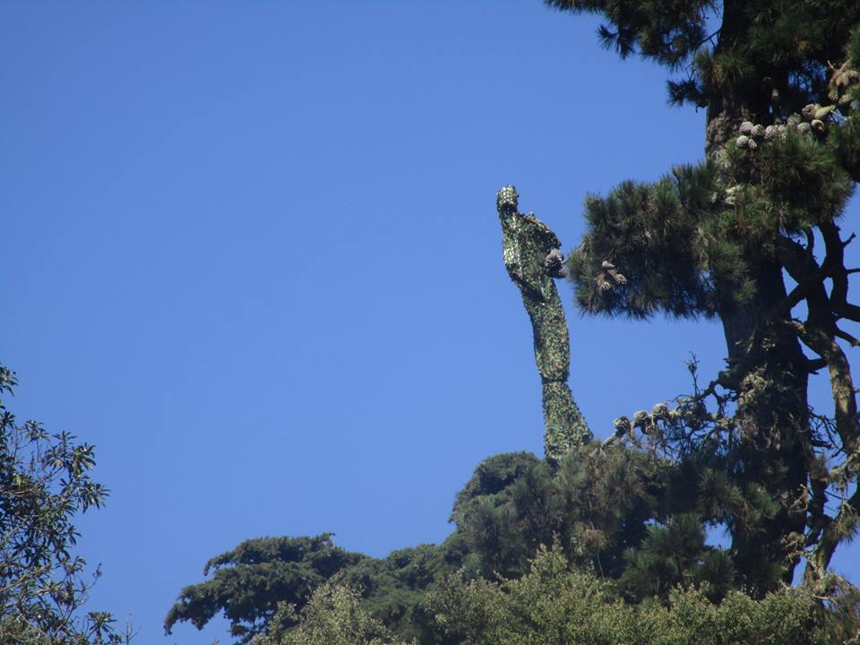 39253506_10216769572097960_8510395091917996032_n