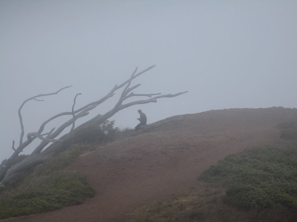 39388122_10216769606418818_6772893259464179712_n