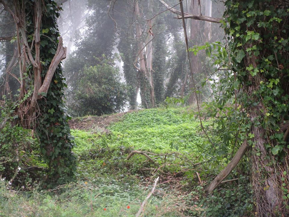 39409051_10216769609658899_2689672927808323584_n