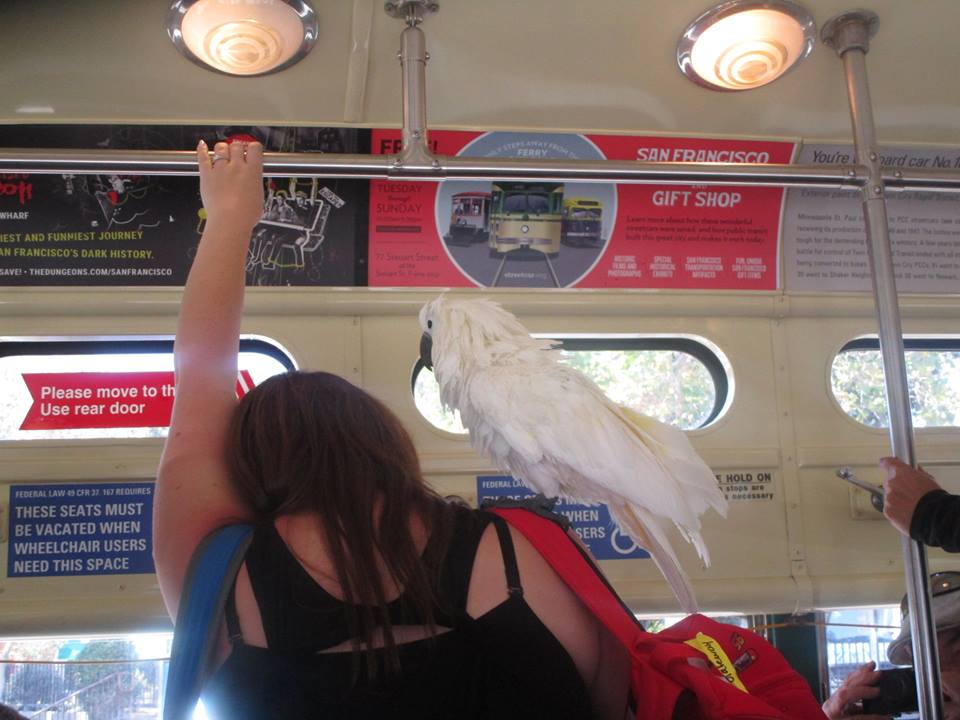 39410261_10216769614939031_7397507217995333632_n