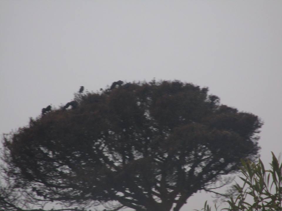 39878713_10216816714956502_6469321522124161024_n