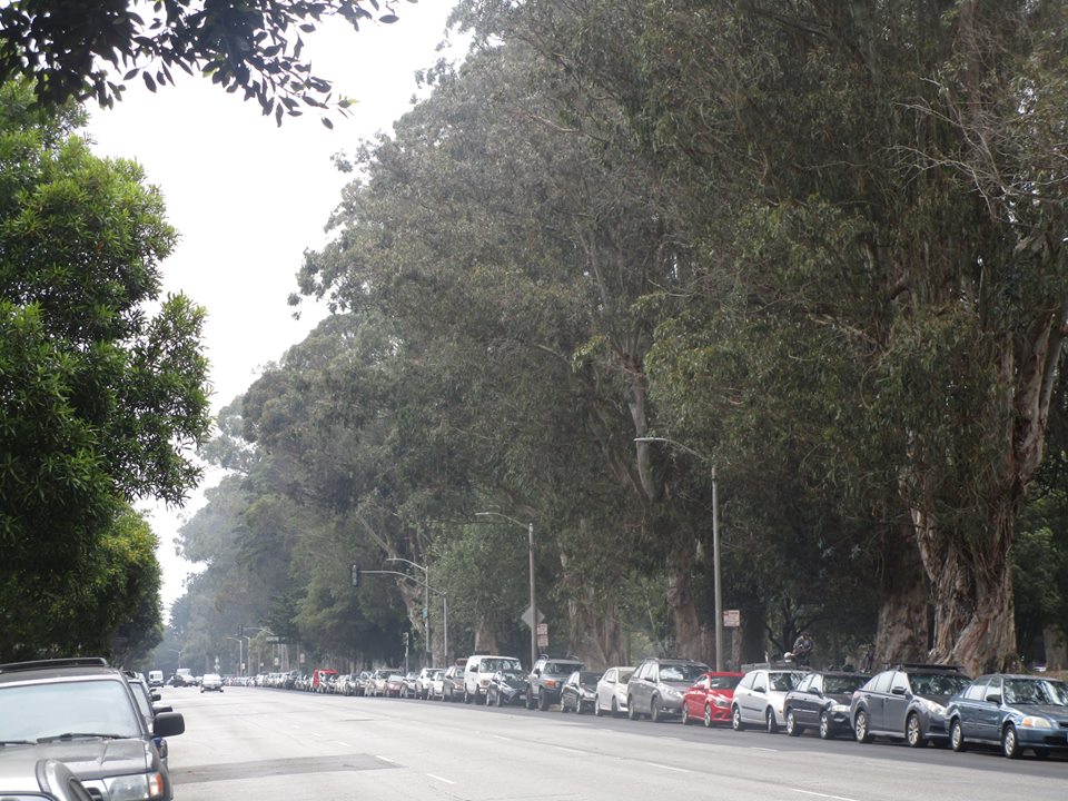 39900445_10216816712476440_4321781537038139392_n