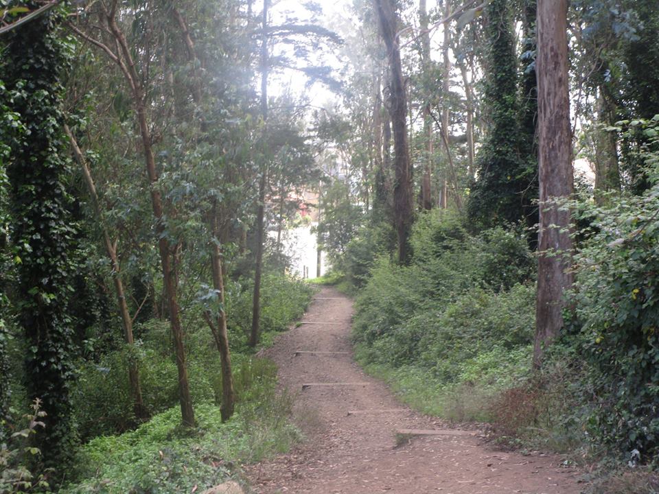 39963721_10216816720756647_6137650867488161792_n