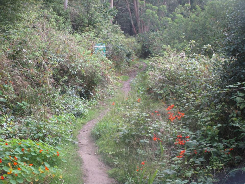 39976840_10216816725356762_5249907227921219584_n