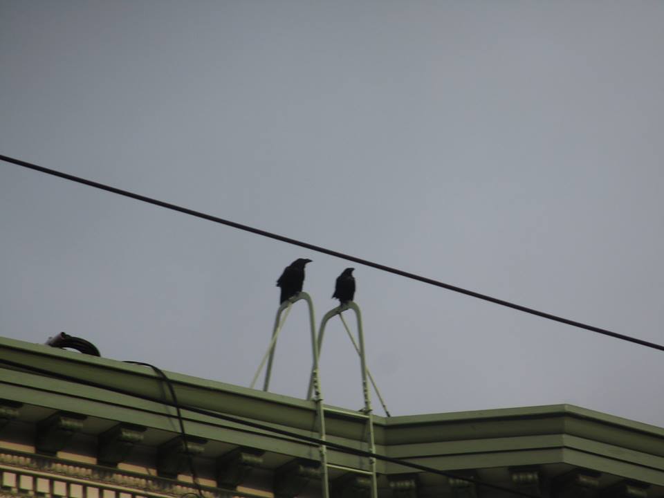 40122673_10216863789533337_8946317844212088832_n