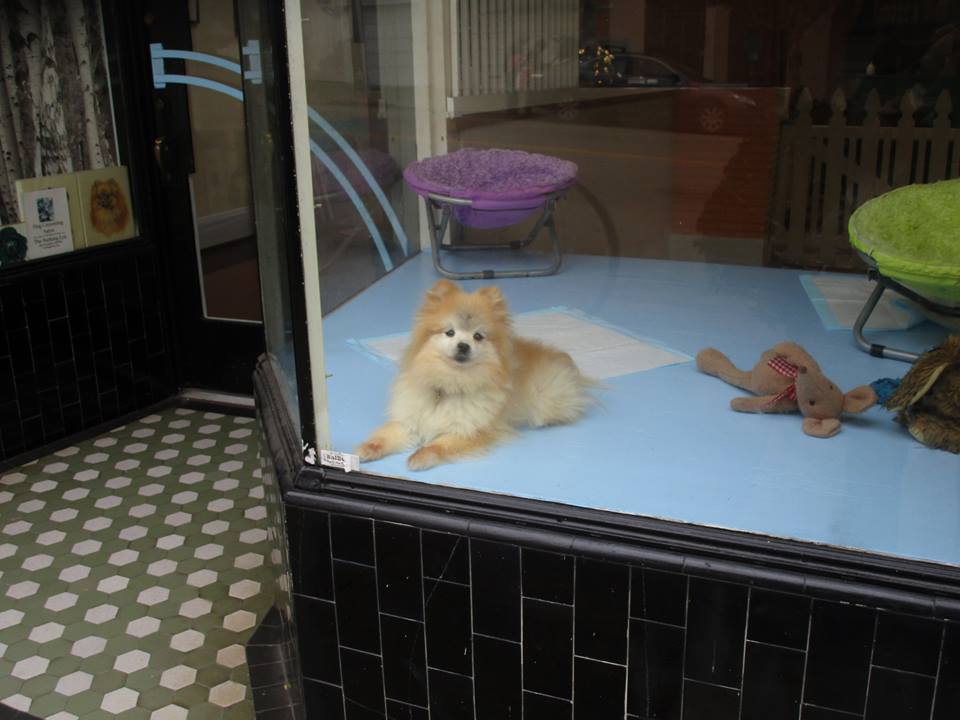 40332143_10216863777453035_6967793205999828992_n