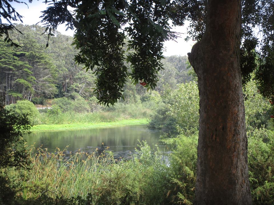 40383139_10216863792373408_2527198287845392384_n