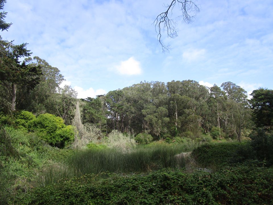 40389309_10216863775372983_4392930749787930624_n