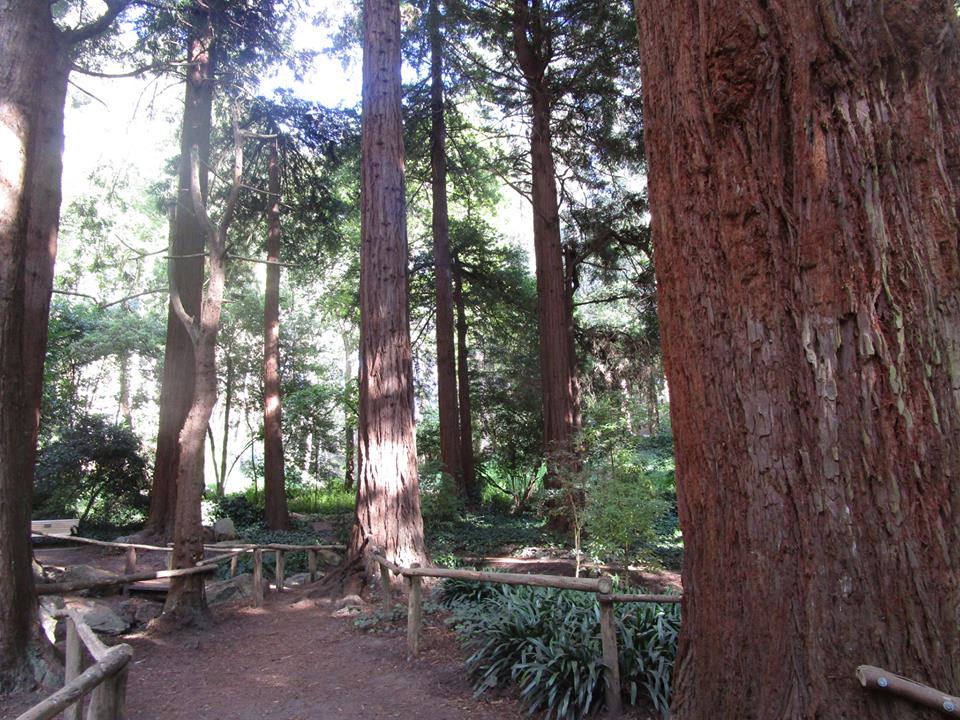 40442066_10216863774052950_5374761136941957120_n