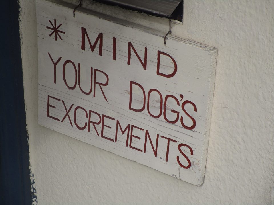 40803349_10216921031644354_2686520980158808064_n