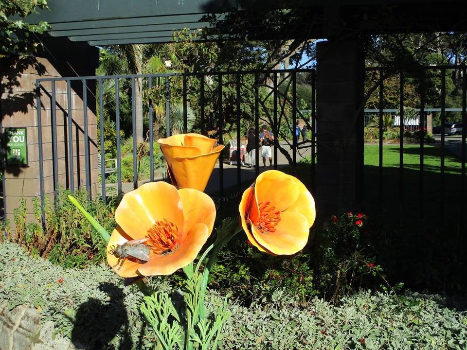 41745297_10217000784678130_1967236356056809472_n