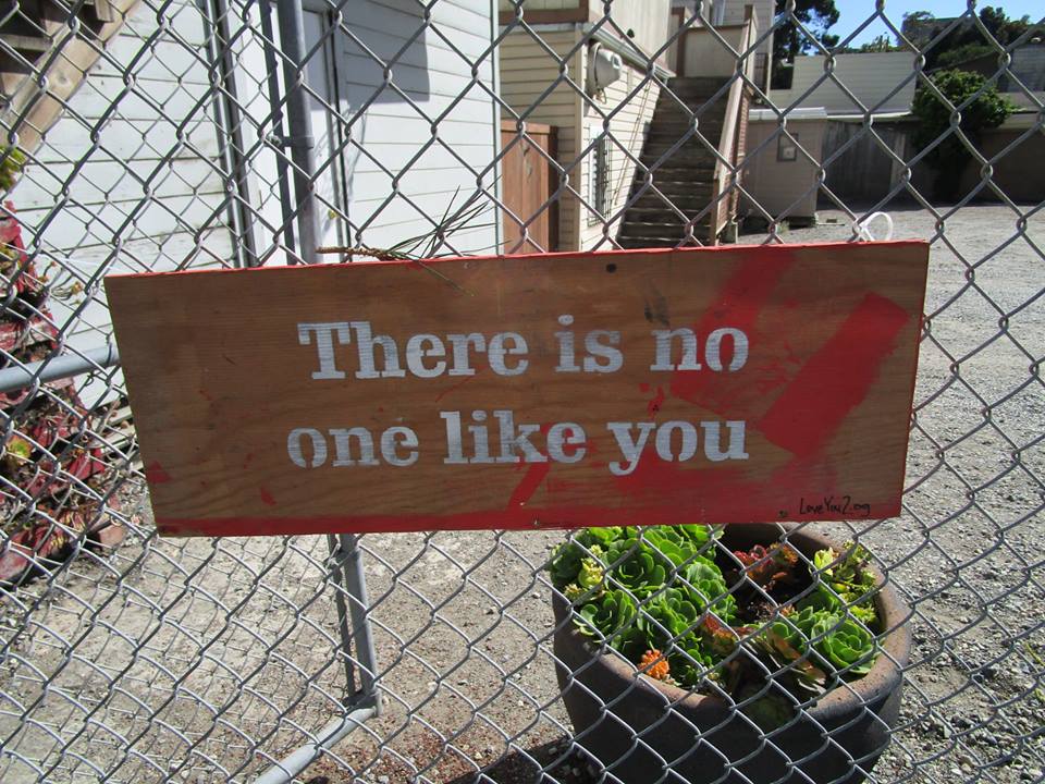 41779777_10217000782638079_7646221945108692992_n