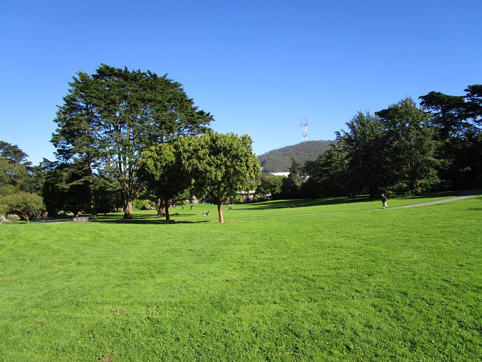 41786610_10217000785638154_3272973501429972992_n