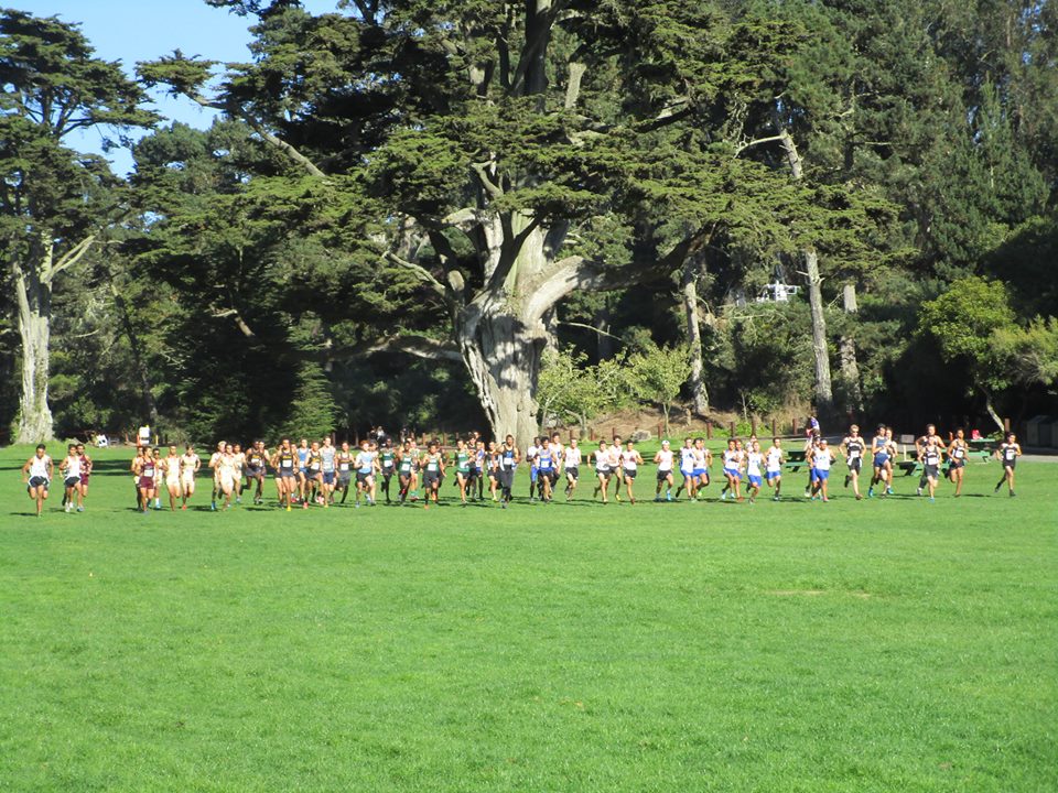 42206649_10217047413403819_5533806056540471296_n