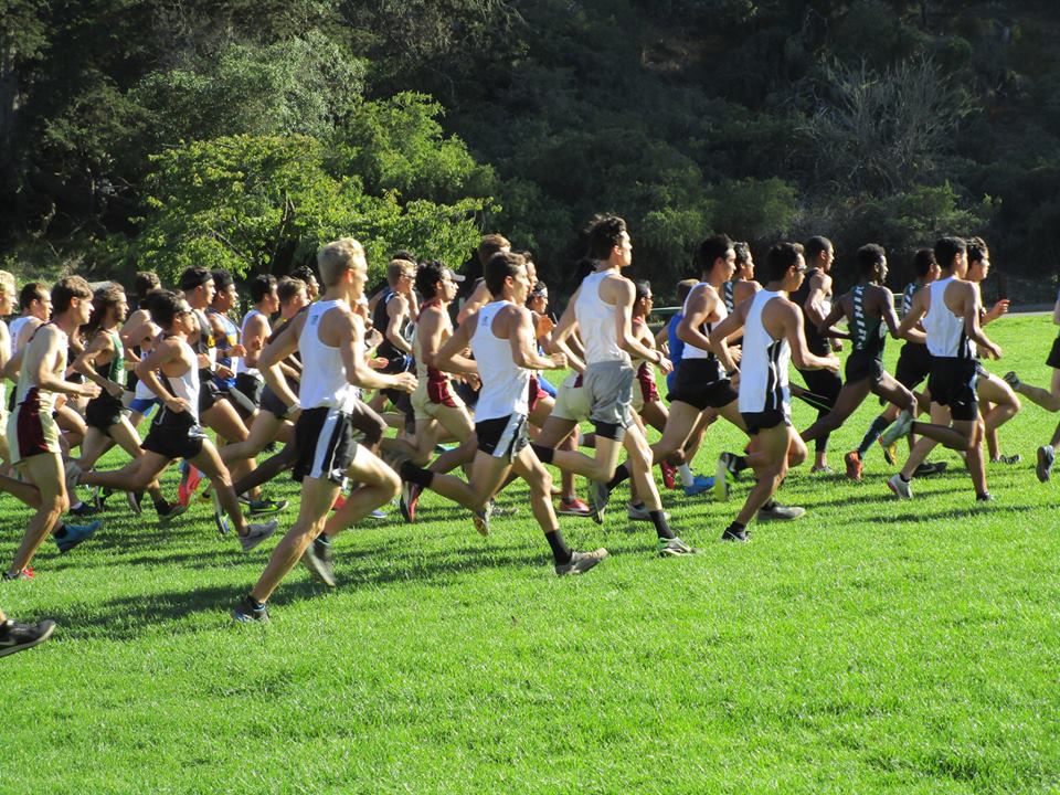 42228882_10217047405163613_3539268440218927104_n