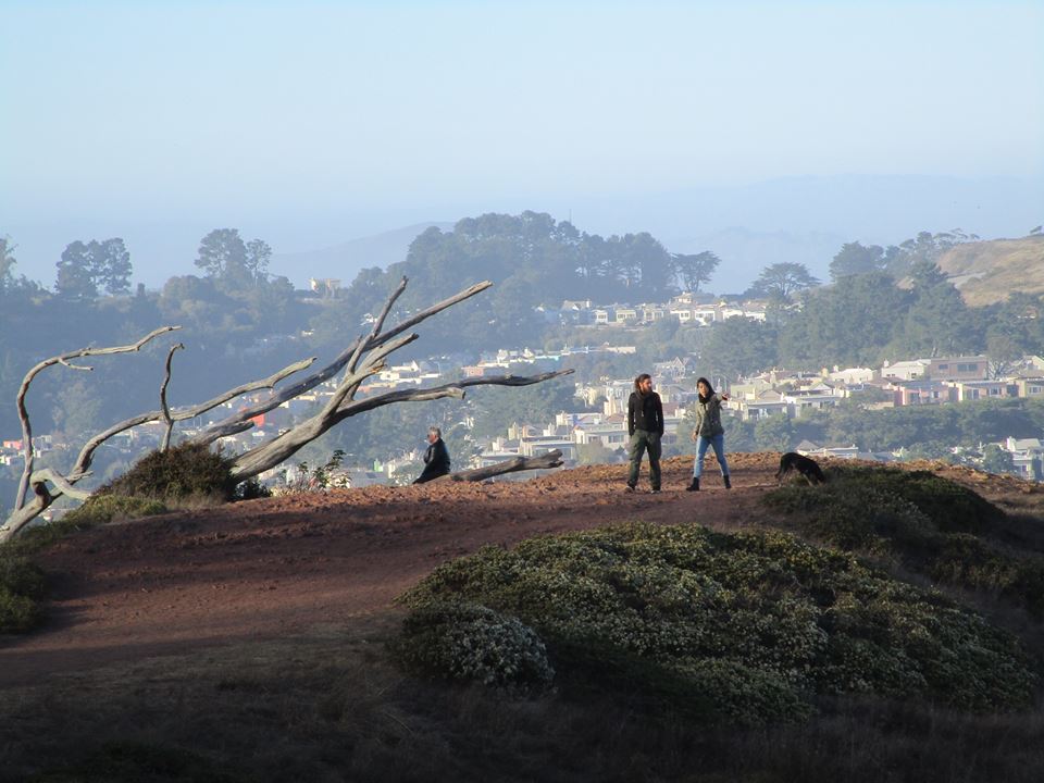 42596797_10217100990263207_9180907038069227520_n