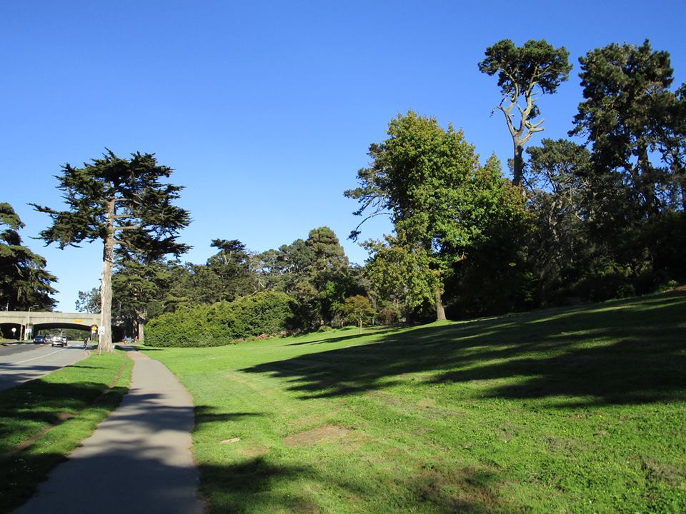 42600312_10217101017703893_8532177864668217344_n