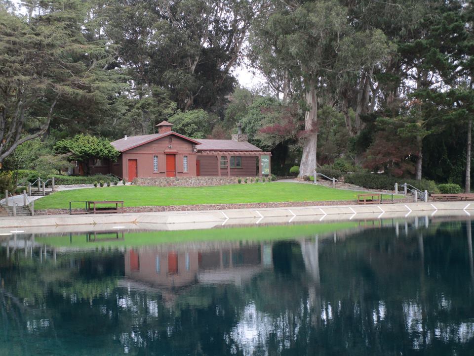 42617349_10217100984343059_1619273786660487168_n