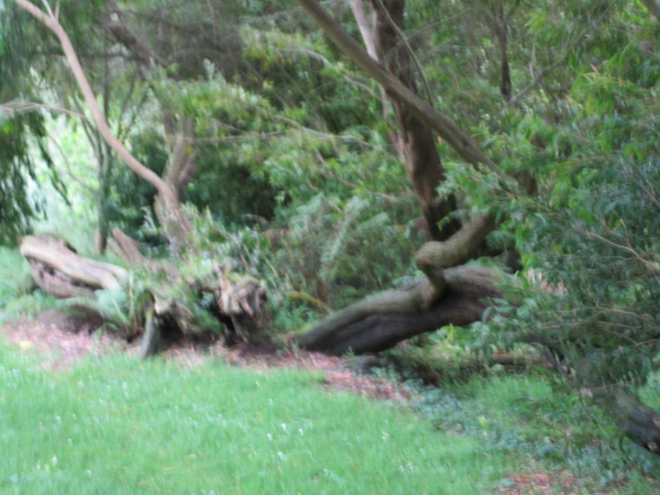 42628531_10217100983423036_7555992872722366464_n