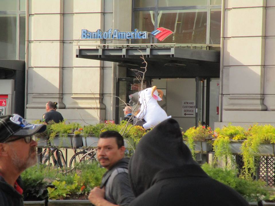 42634021_10217100979542939_4207941676511002624_n