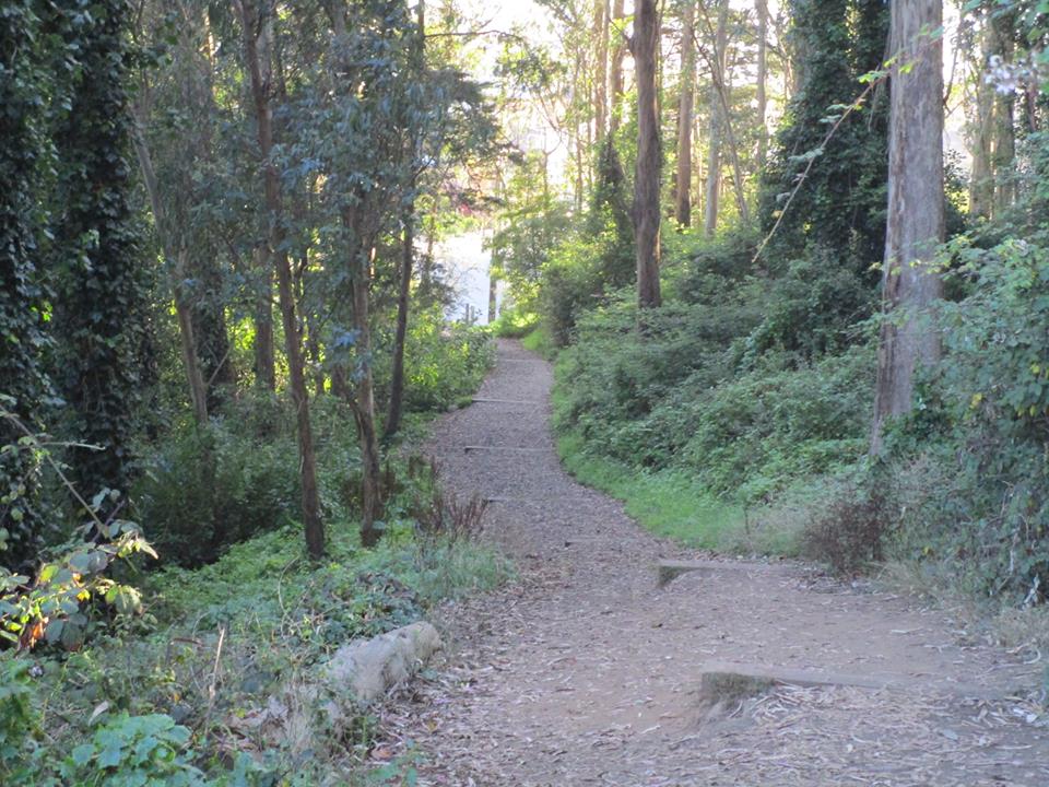 42651258_10217100988823171_7592418404460396544_n