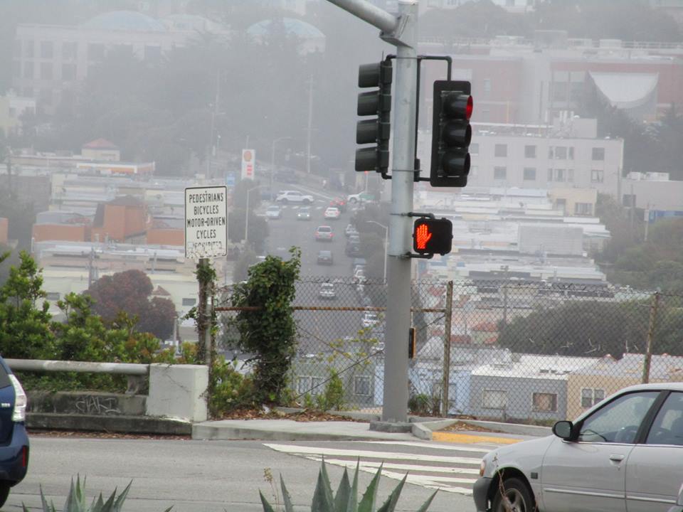 42651262_10217101008823671_7821958344570044416_n