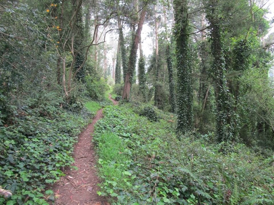 42654666_10217101015623841_7866842032713498624_n