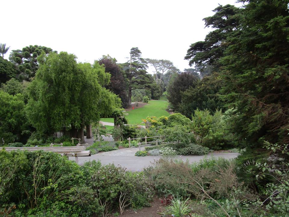 42660450_10217100982663017_7289905140335640576_n