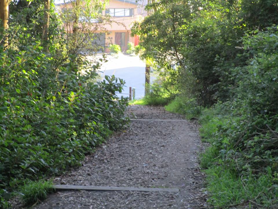 42666848_10217100988383160_2494959400033189888_n