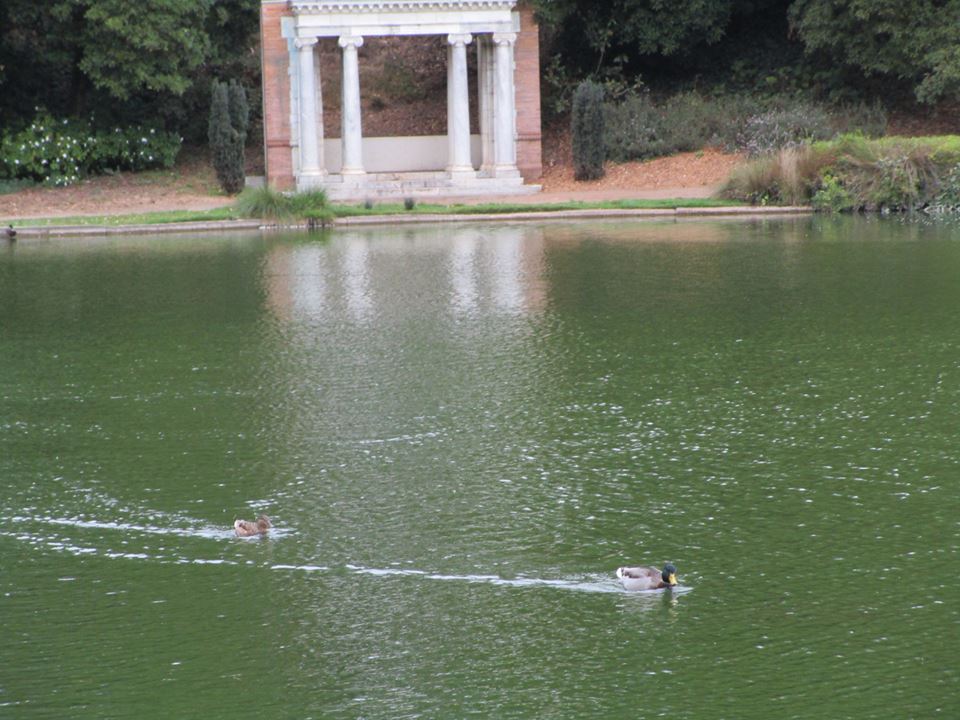 42677594_10217100958662417_8412661062398115840_n