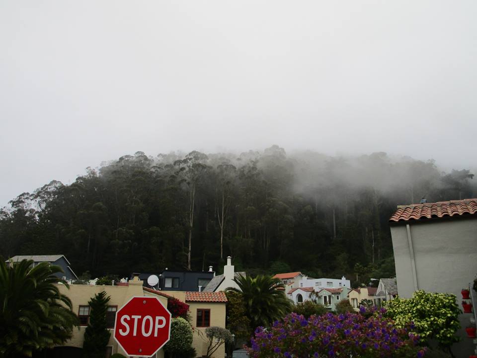 42692993_10217101016663867_6454617826140356608_n