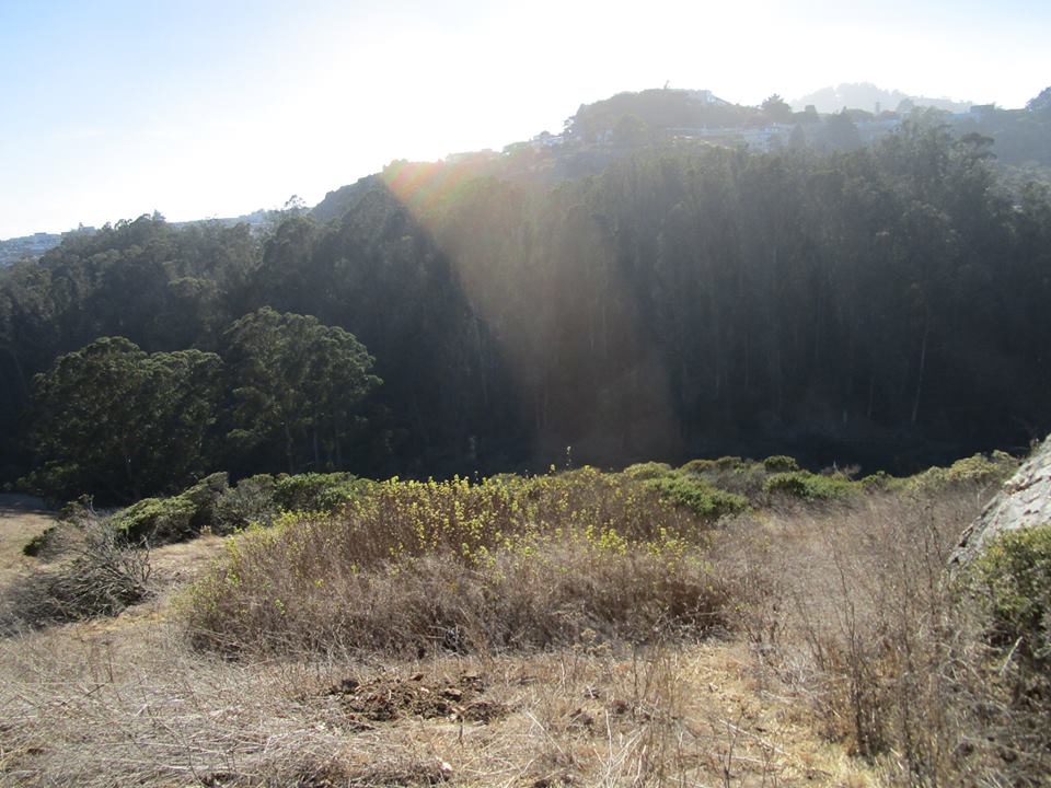 42703948_10217100999983450_3630495349472231424_n