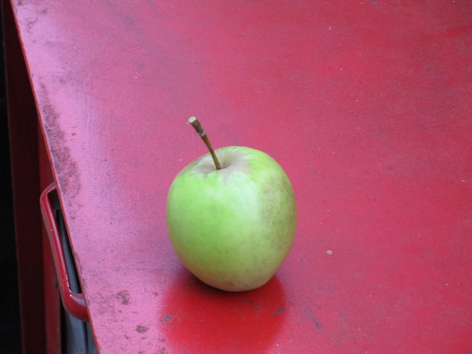 42719764_10217100977262882_6046321171077529600_n