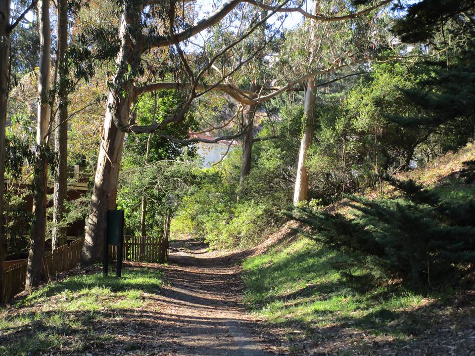 42758690_10217100998583415_4117696755695353856_n