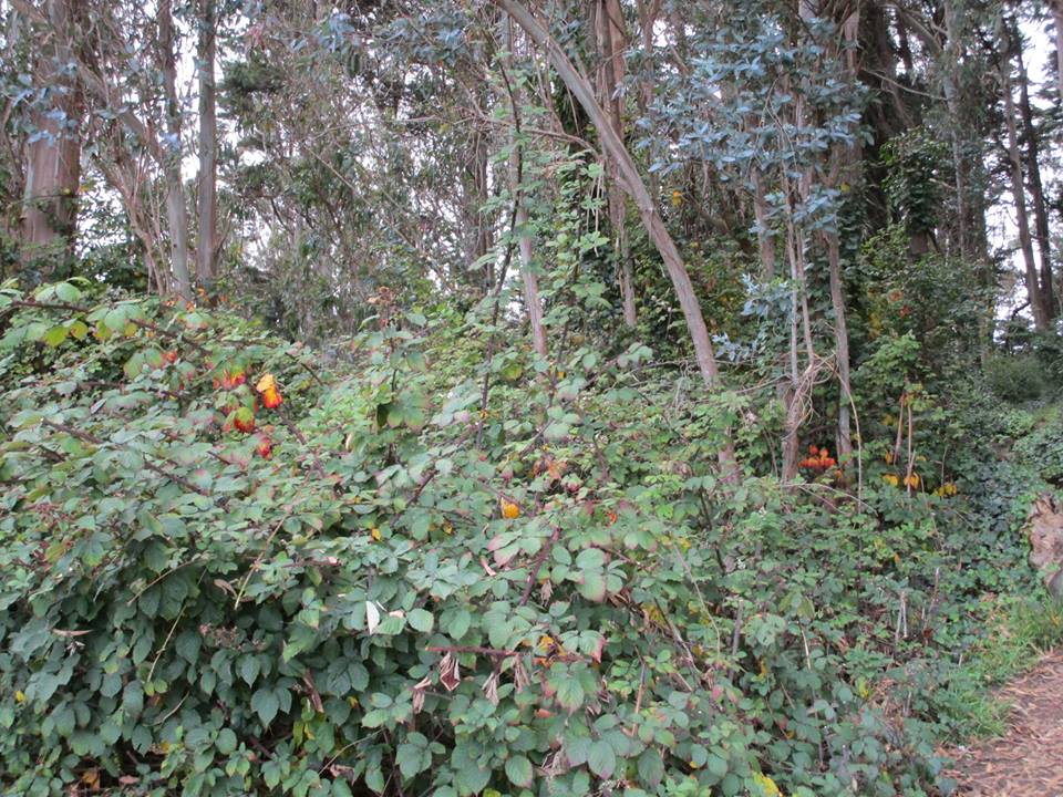 42972632_10217138045229558_7254804803576922112_n