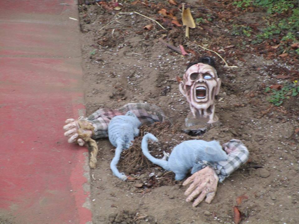 42974890_10217138040749446_465602299159379968_n